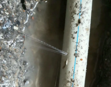 民丰测漏水哪家好