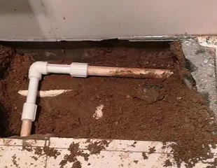 民丰测漏水哪家好