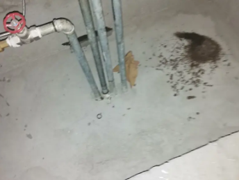 民丰卫生间测漏水价格明细